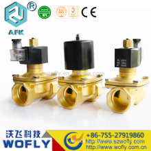 1/4"NPT Steam iron mini water solenoid valve 110v ac